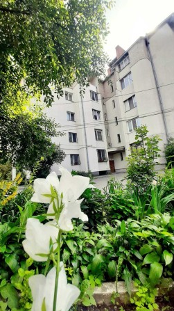 Продам 2-х кімнатну на Замості 9448 - фото 1