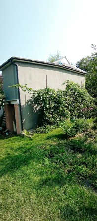 Здам дачний будинок - фото 1