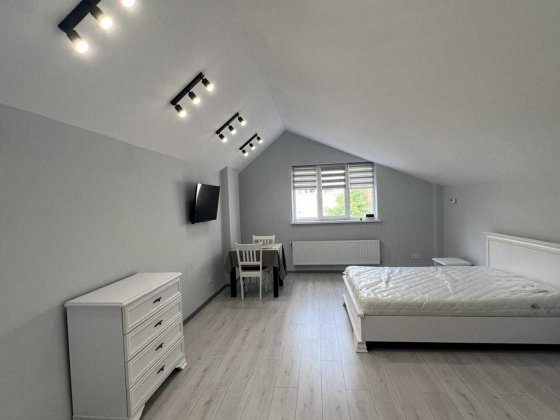 Оренда / Будинок / дворівневий / Авторський ремонт / Федьковича /Львів Львів