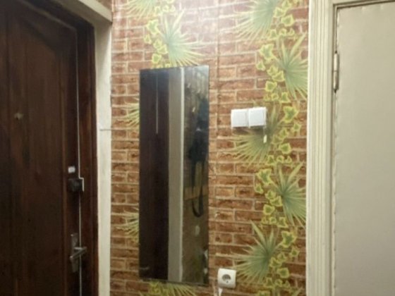 Продається однокімнатна квартира цегляному будинку. Житомир