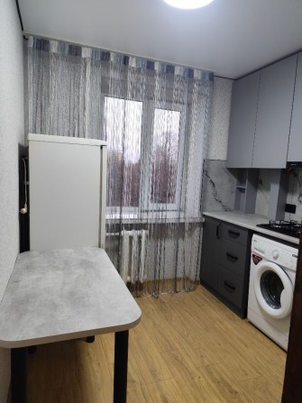 2х квартира в центрі міста Рильського - фото 1