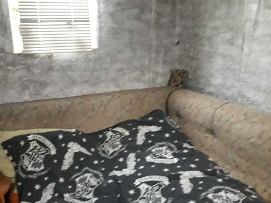 Сдам кімнату в гуртожитку Нежин