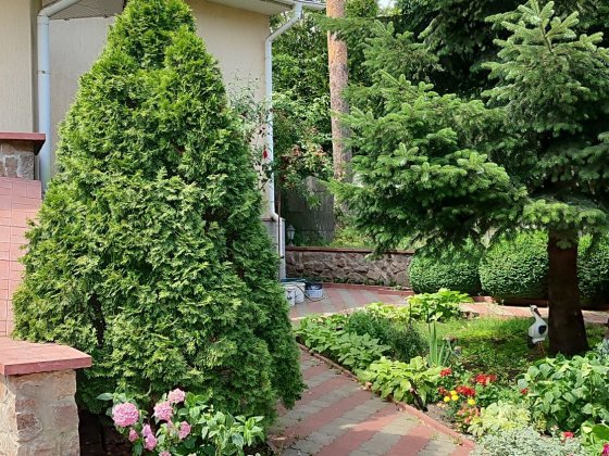 Здам в оренду кімнату в будинку для дівчини Ірпінь