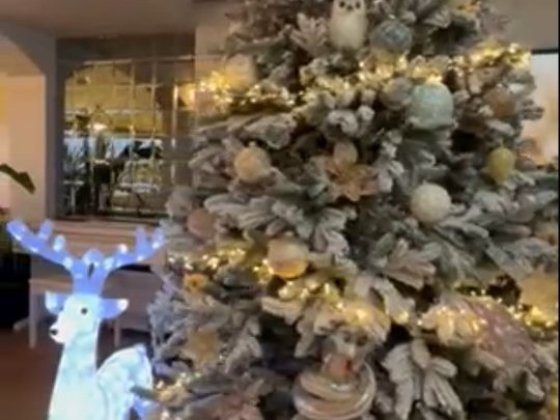 Аренда  дома ул Костанди/Львовская новый одноэтажный теплый дом