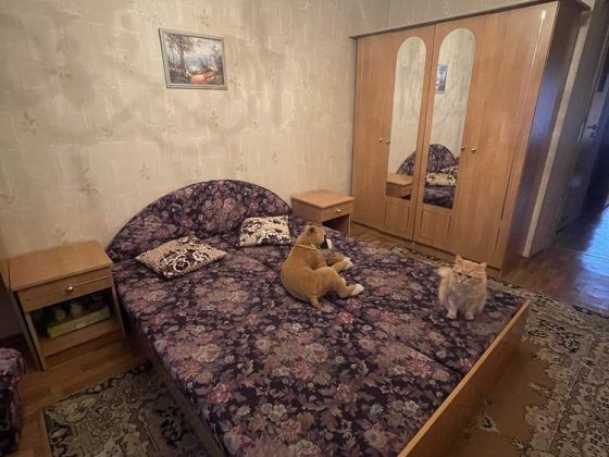 Комната 3500 грн Дніпро