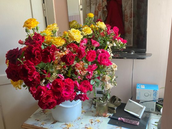 Від власника кімната під ключ здам житло Винница