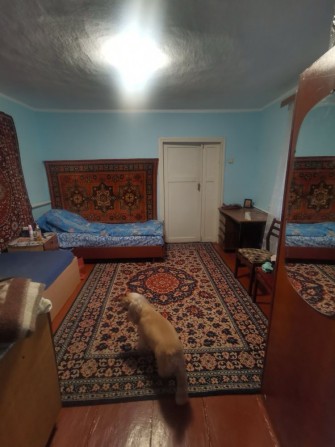 Койка місце для дівчини - фото 1