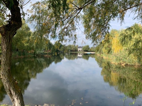 Оренда Будинку | ТаунХауса | Без Комісії | К.М. Кантрі | Козин Козин