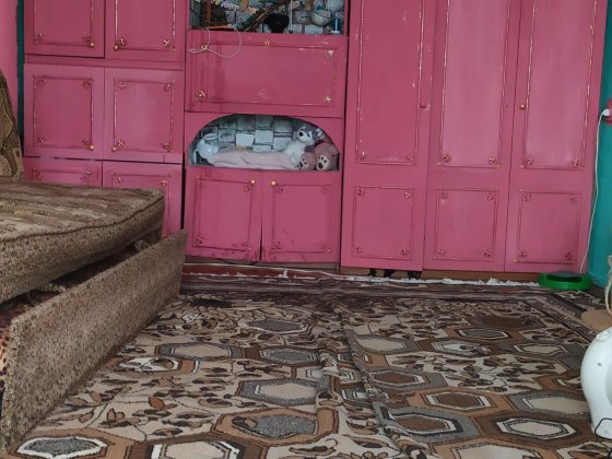 Продам 1-но кімнатну квартиру на Пацаєва 8 Кропивницький