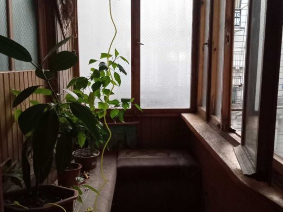 Сдам комнату  в коммуне на Караванского/Европейской Одеса