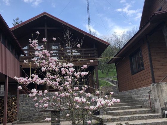 Здам будинок в оренду Ржищів