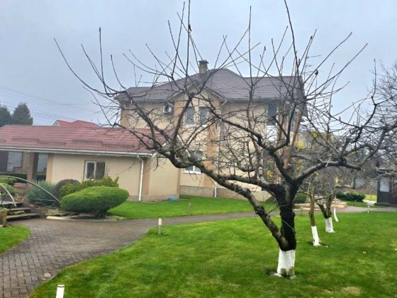 без комісії с.Чайки поруч з Києвом сучасний котедж Чайки