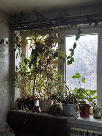 Продам трикімнатну квартиру на Шевченка - фото 1