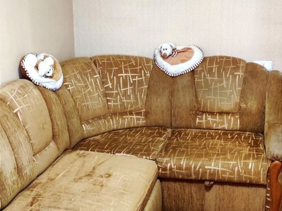 Сдаётся уютная комната в центре Киева на ул. Златоустовская Київ