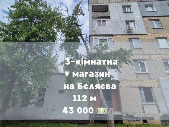 3-кімнатна квартира та магазин на Бєляєва Кропивницкий