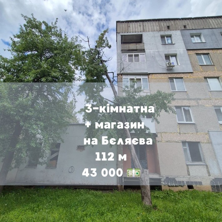 3-кімнатна квартира та магазин на Бєляєва - фото 1