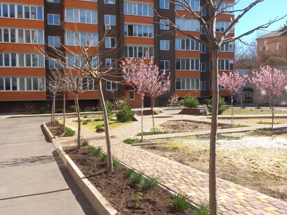 квартиру в новом доме Миколаїв