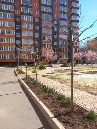 квартиру в новом доме - фото 1