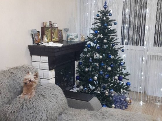 Продам ВЛАСНУ  3-х кімнатну квартиру в центрі Николаев