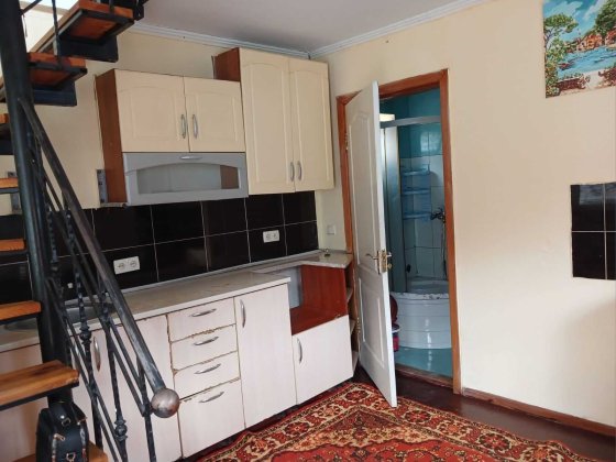 Продам будинок-квартиру вул Гоголя Анголенко власник Запорожье