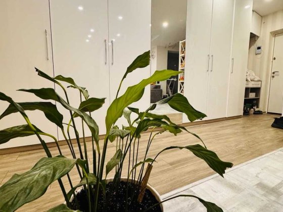 Продаж 3 кімн ЖК Львівський МАєток , Райдужна 96 Софіївська Борщагівка