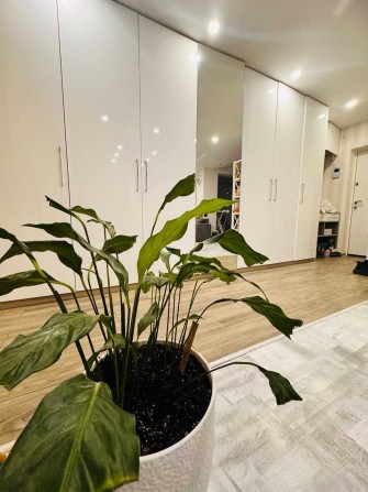 Продаж 3 кімн ЖК Львівський МАєток , Райдужна 96 - фото 1