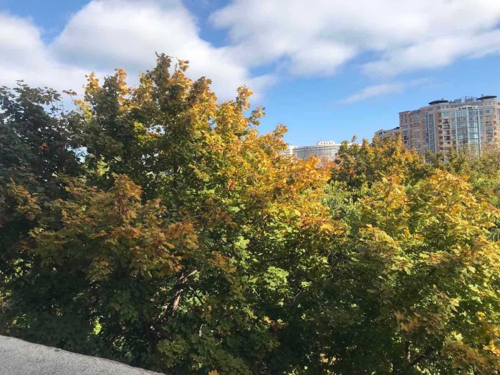 1-кімнатна квартира в престижному ЖК.  Аркадія. Море. Найнижча ціна. - фото 1