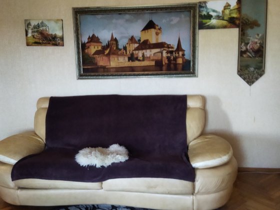 3-х комн. на Гайдара/ген. Петрова, кирпичный спецпроект, 7 этаж