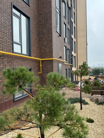 ГАЗ! смарт квартира 20 м2 Софіївська Борщагівка Oazis Hills забудовник - фото 1