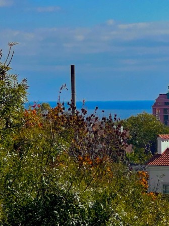 Срочная продажа! 2х ком квартира Балкон+Лоджия Вид моря Аркадия 49990$ - фото 1