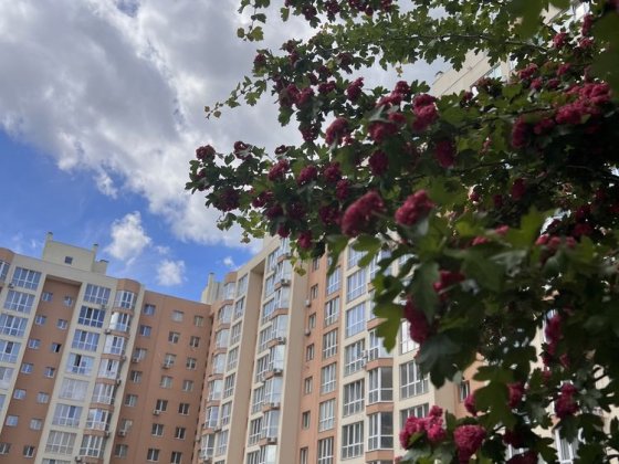 Продам 1к квартиру 38 м2. Софіївська Сфера,Львівський маєток,У-квартал Софиевская Борщаговка