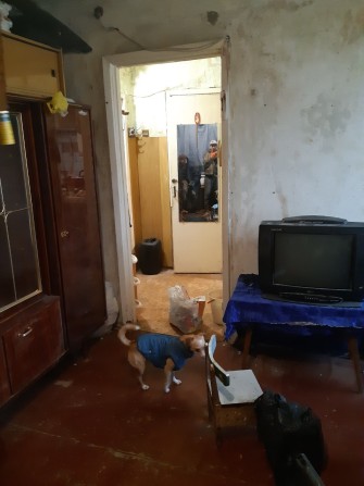 Сдам однокомнатную квартиру - фото 1