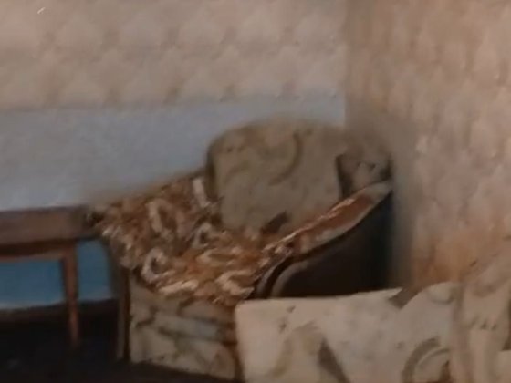 1 кімнатна квартира Старокостянтинів