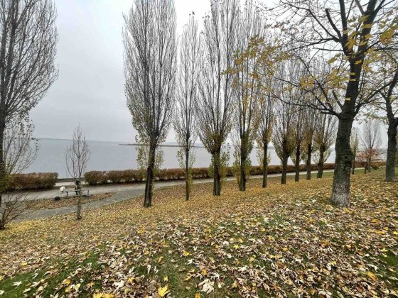 Оренда 3кім квартири вул пр Дніпровський 23 Новая Украинка