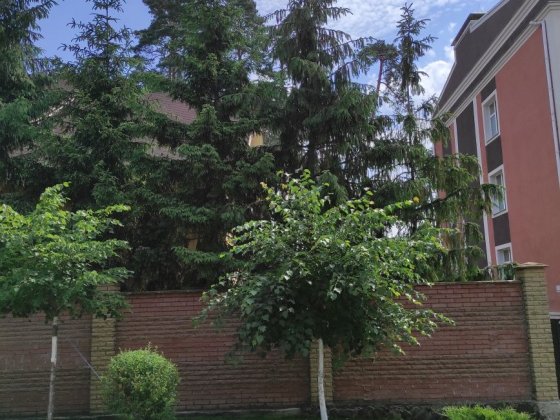 Довгострокова оренда 2к, Буча центр Буча