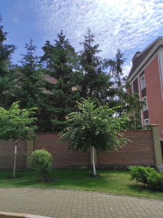 Довгострокова оренда 2к, Буча центр - фото 1