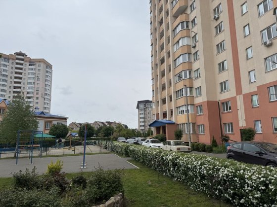 Здам в оренду 1 кімнатну квартиру у центрі Буча