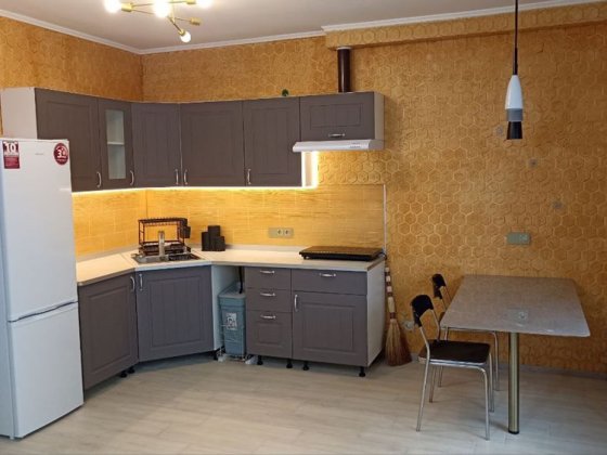 Велика євро двокімнатна квартира біля Центрального парку 50м Ирпень