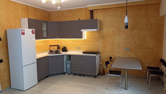 Велика євро двокімнатна квартира біля Центрального парку 50м - фото 1