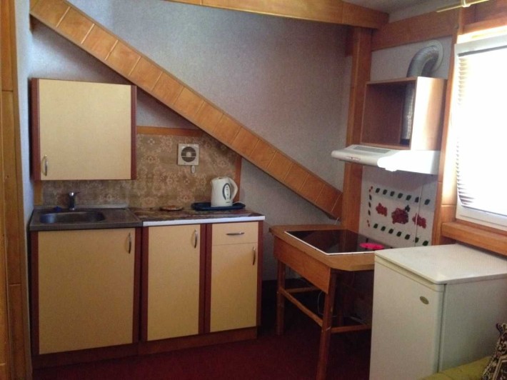 ВЛАСНИК!!! здає затишну 1-но кімнатну квартиру-студію в ЦЕНТРІ Луцька - фото 1