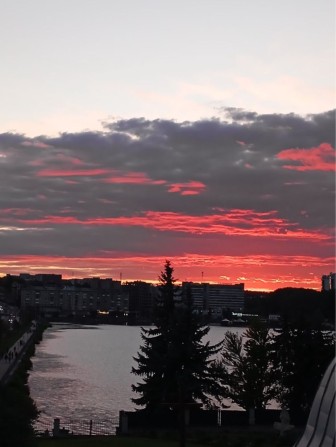 Оренда однкімнатної квартири - фото 1