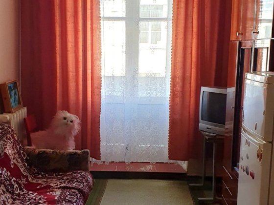 Центр, оренда 1-но кімнатної квартири Полтава