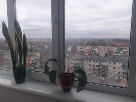 2 кімната квартира Сумы