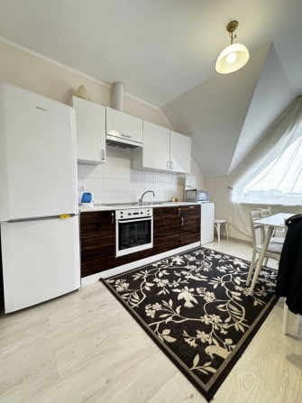 Оренда затишної однокімнатноі квартири в Боздош, Ужгород - фото 1