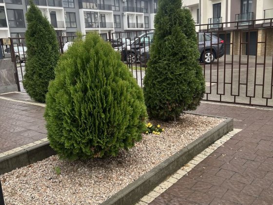 Оренда 3 кі-ної квартири Боздош/ Газ Ужгород