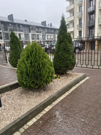 Оренда 3 кі-ної квартири Боздош/ Газ - фото 1