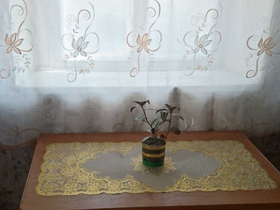 ЗДАМ однокімнатну квартиру Винница