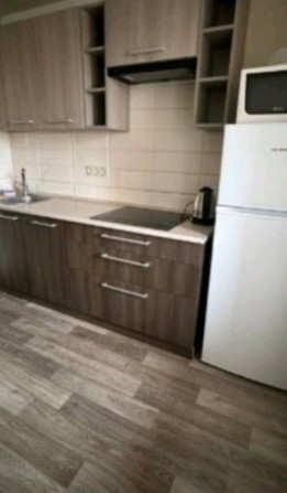 Оренда 1 к квартири вул. М. Литвиненко- Вольгельмут - фото 1