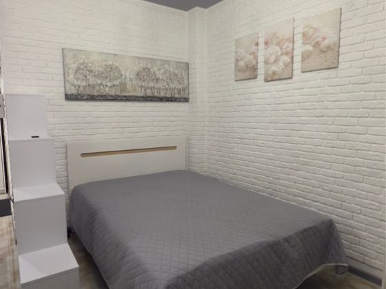 Аренда 1к квартиры в центре, Конисского, Володарского, Артема Дніпро