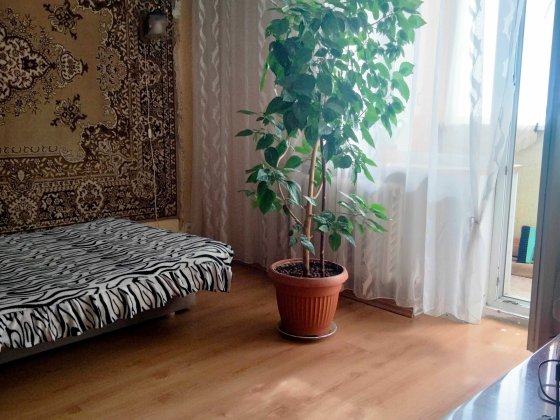 Оренда 1но кв-ра Бердичівська 1ша міська лікарня 6800грн Житомир